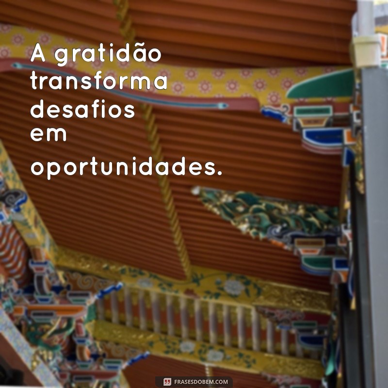 Frases Inspiradoras de Motivação e Gratidão para Transformar Seu Status 