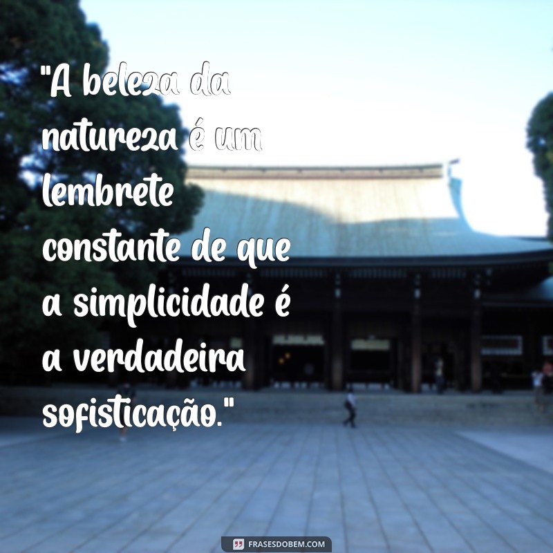 frases de mato natureza 