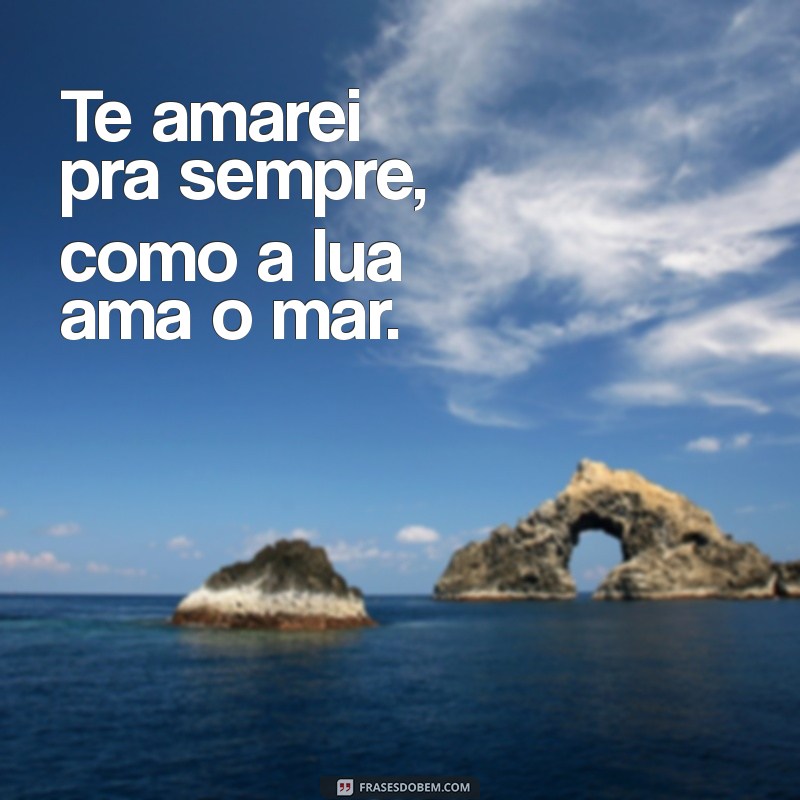 Te Amarei Pra Sempre: A Profundidade do Amor Infinito 