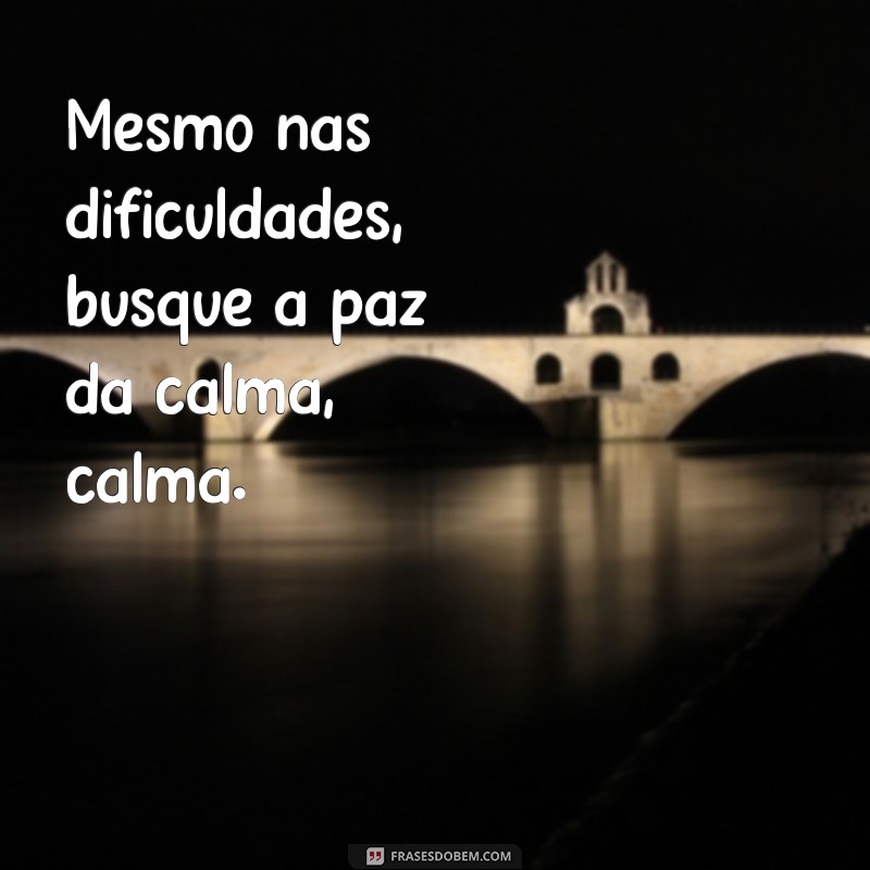 Como Encontrar Calma em Momentos de Estresse: Dicas Práticas para o Dia a Dia 