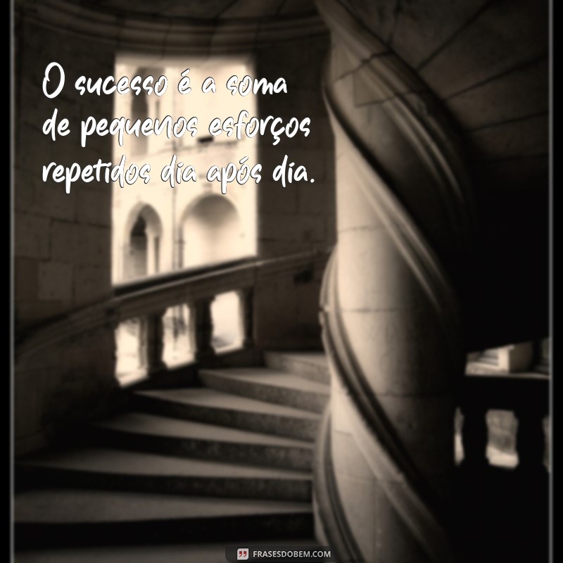 mensagem de sucesso na vida O sucesso é a soma de pequenos esforços repetidos dia após dia.