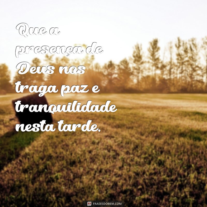 Descubra as melhores frases de agradecimento para o fim do dia: frases tarde da benção 