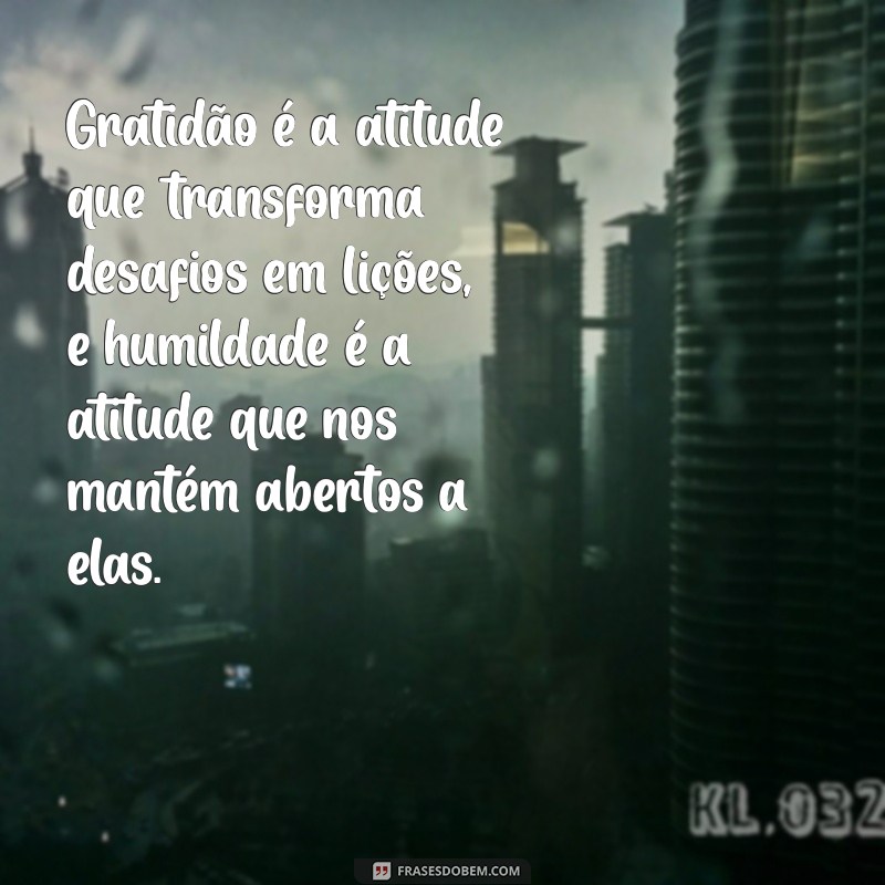 Frases Inspiradoras sobre Humildade e Gratidão para Reflexão Profunda 