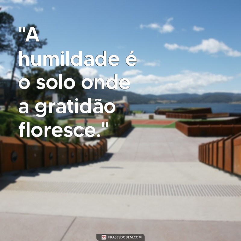 humildade gratidão frases de reflexão 