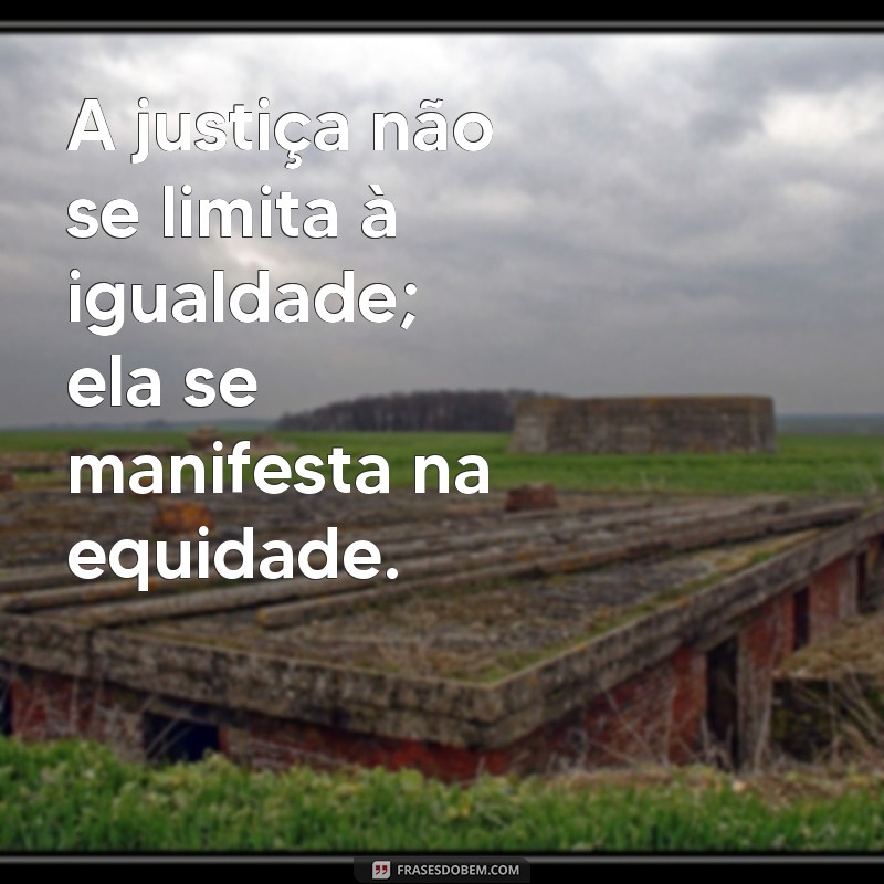 Equidade vs Igualdade: Entenda as Diferenças e Importância na Sociedade 