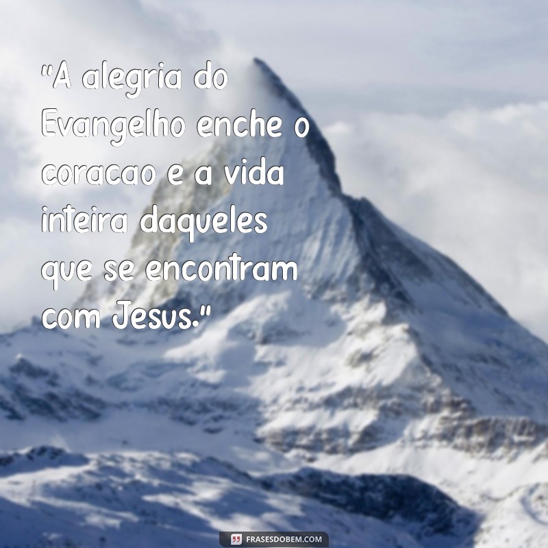 frases do papa francisco 