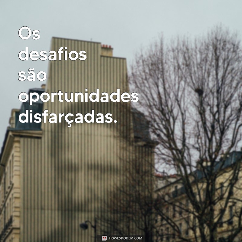 Frases Motivacionais Curtas para Inspirar Seu Dia 