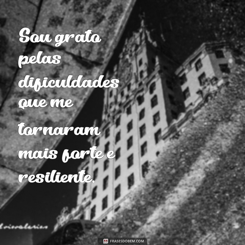 Frases Inspiradoras de Gratidão para Celebrar Suas Conquistas 