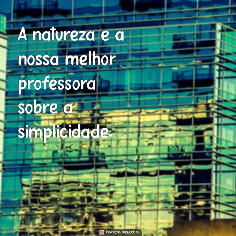 Frases Inspiradoras para Conectar-se com a Natureza 