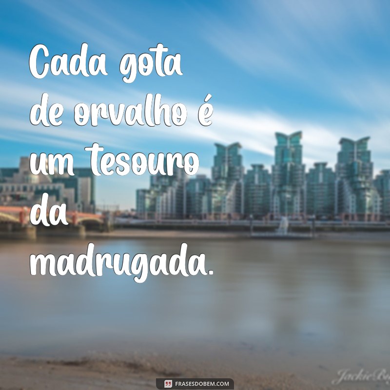 Frases Inspiradoras para Conectar-se com a Natureza 