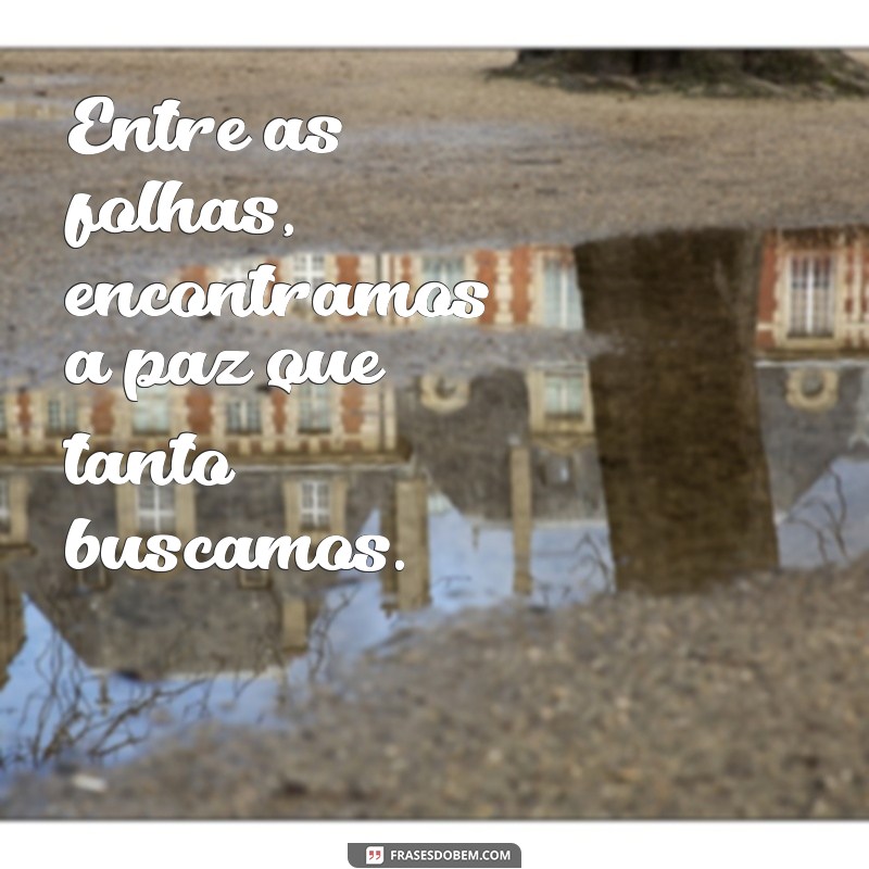 Frases Inspiradoras para Conectar-se com a Natureza 