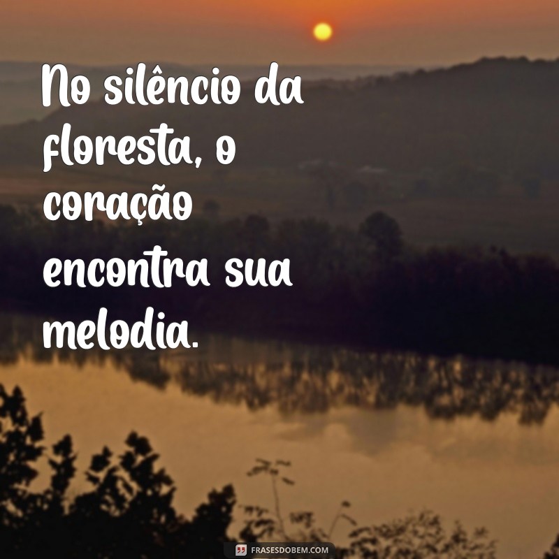 Frases Inspiradoras para Conectar-se com a Natureza 