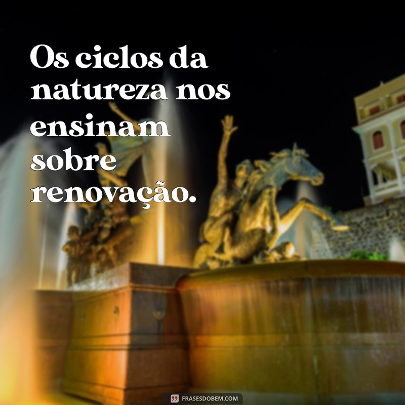 Frases Inspiradoras para Conectar-se com a Natureza 