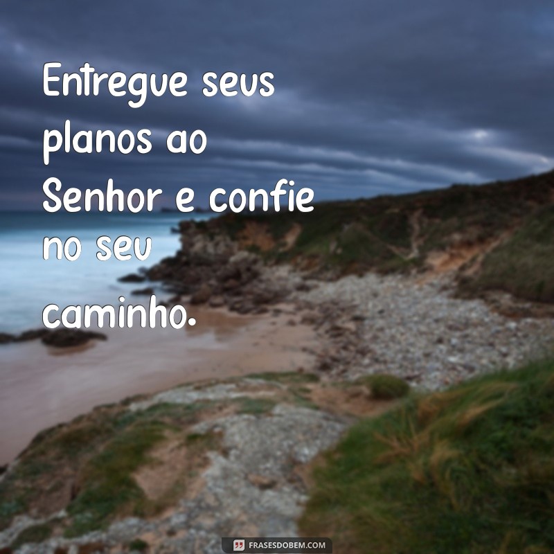 entregue seus planos ao senhor Entregue seus planos ao Senhor e confie no seu caminho.