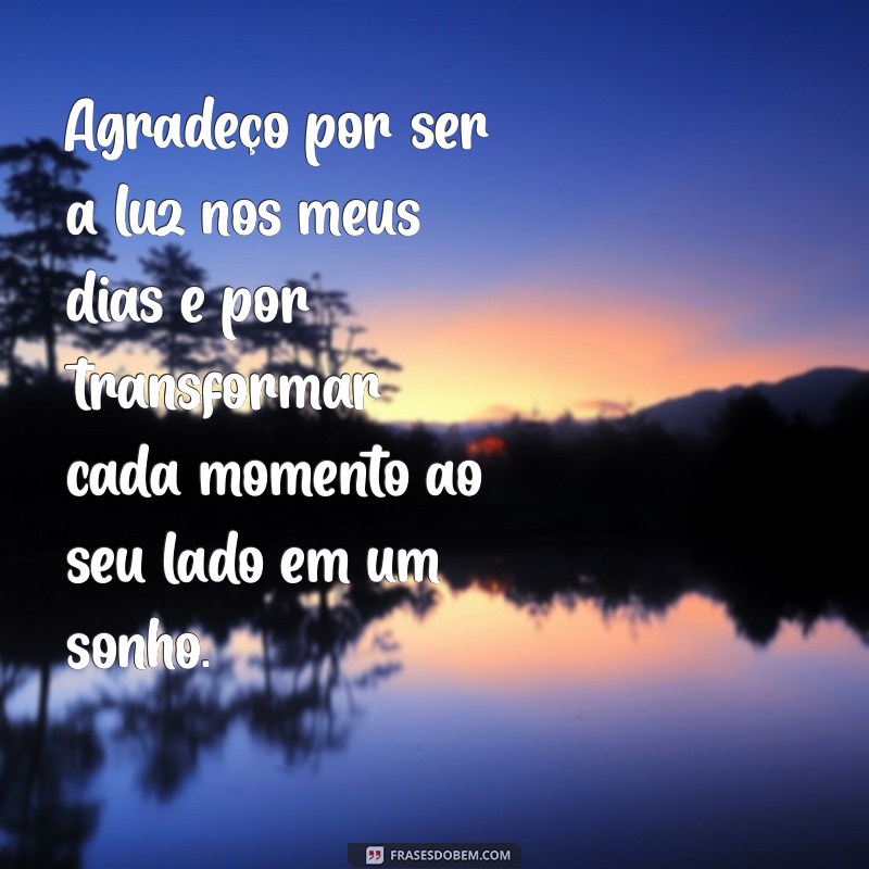 mensagem de gratidão para namorada Agradeço por ser a luz nos meus dias e por transformar cada momento ao seu lado em um sonho.