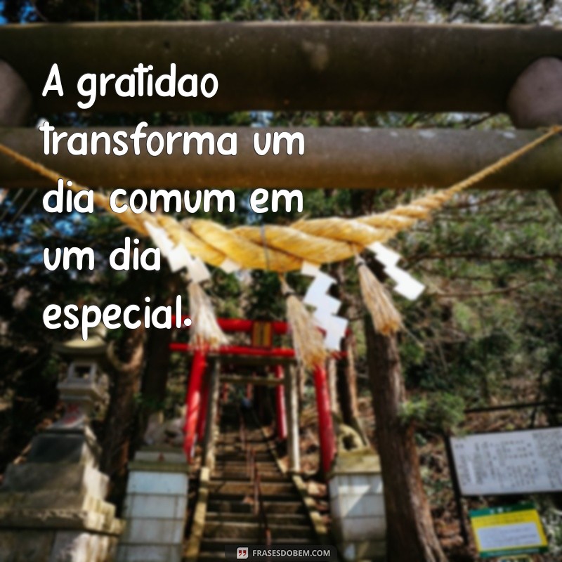 Frases Curtas de Bom Dia Motivacionais para Começar o Dia com Energia 