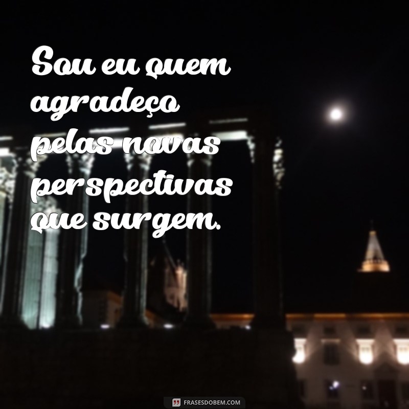 Sou Eu Quem Agradeço: A Importância da Gratidão na Vida Diária 