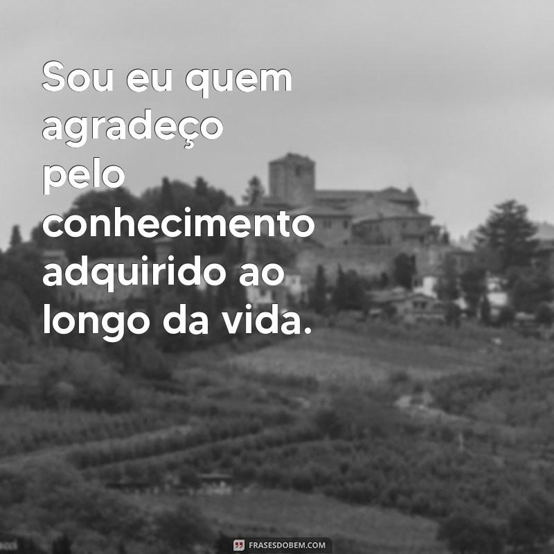 Sou Eu Quem Agradeço: A Importância da Gratidão na Vida Diária 