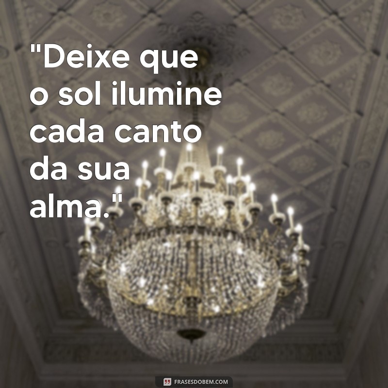 uma dose diária de sol frases 