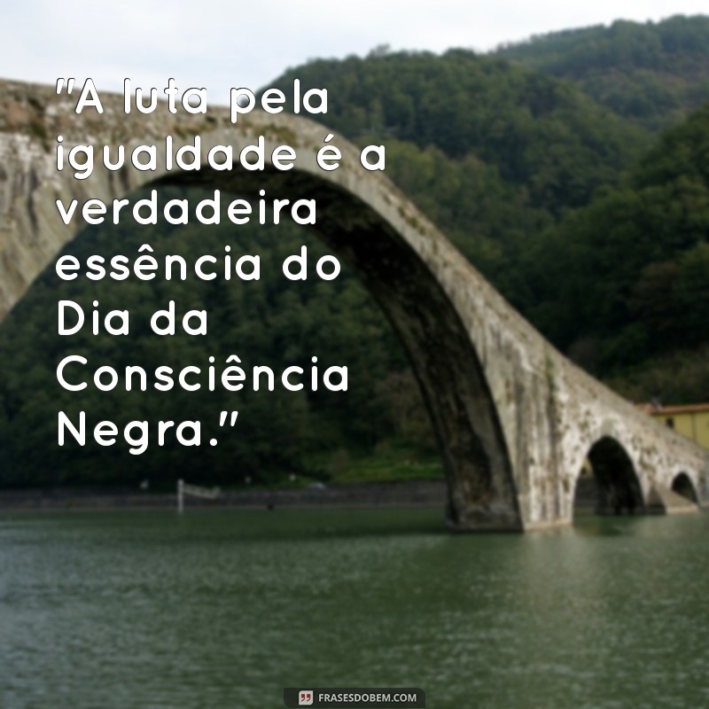 dia da consciência negra frases 