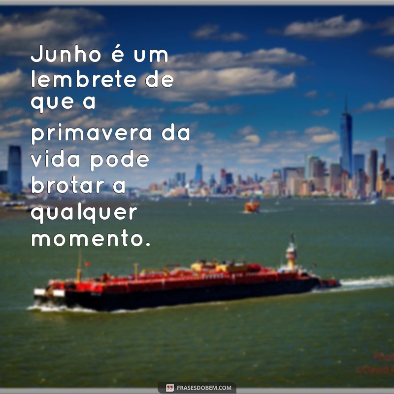 Frases Inspiradoras para Celebrar o Mês de Junho 