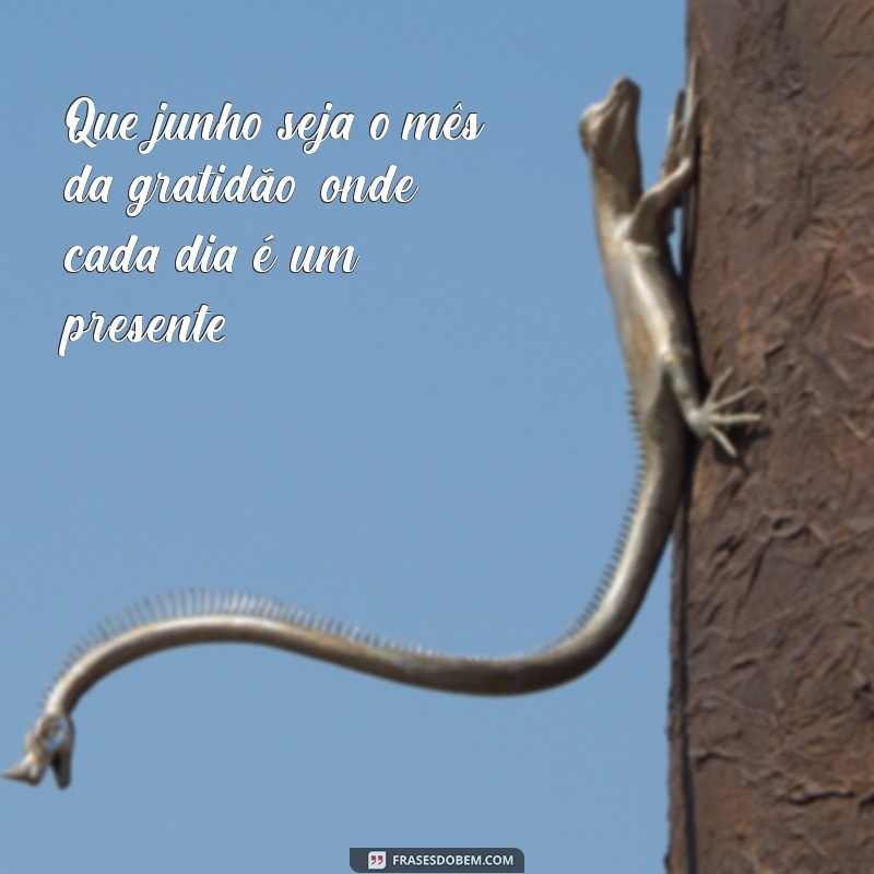 Frases Inspiradoras para Celebrar o Mês de Junho 