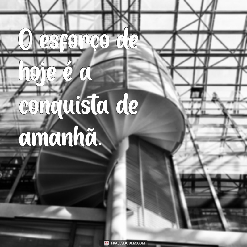 frases de motivação estudos O esforço de hoje é a conquista de amanhã.