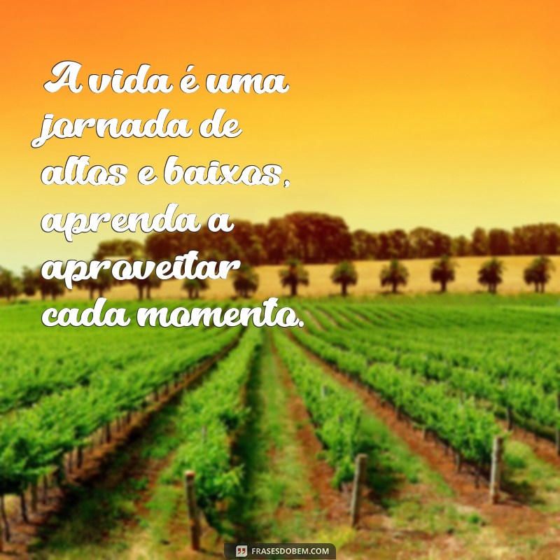 frases texto de reflexão sobre a vida A vida é uma jornada de altos e baixos, aprenda a aproveitar cada momento.