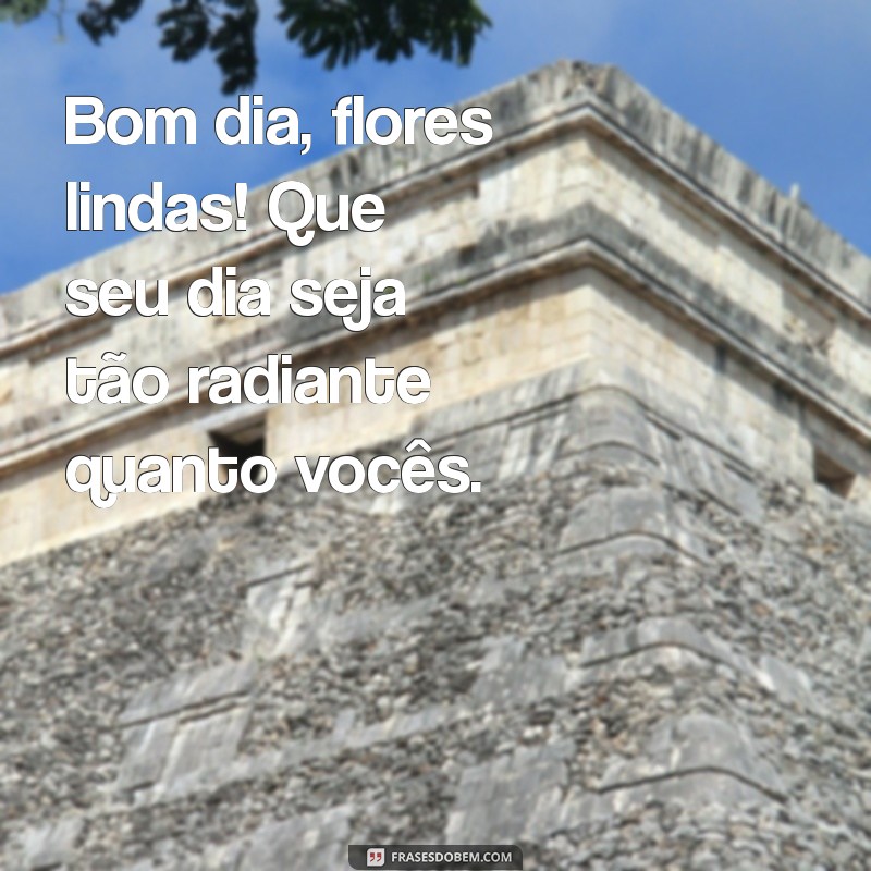 bom dia flores lindas Bom dia, flores lindas! Que seu dia seja tão radiante quanto vocês.