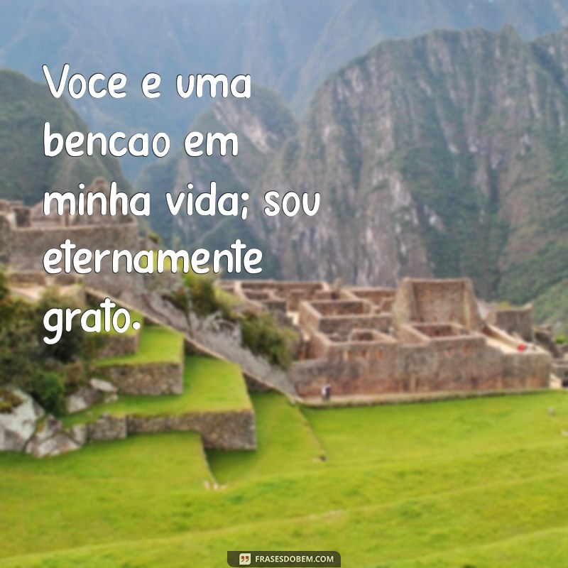 50 Frases Inspiradoras de Agradecimento para Expressar sua Gratidão 