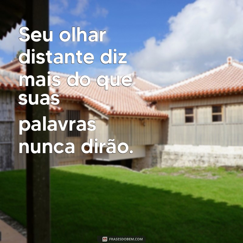 Superando o Desprezo no Casamento: Mensagens e Reflexões para Revitalizar o Relacionamento 