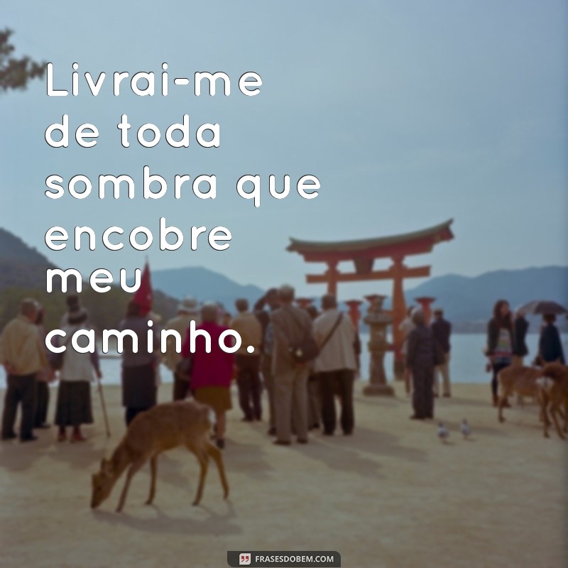 frases livrai me de todo mal Livrai-me de toda sombra que encobre meu caminho.