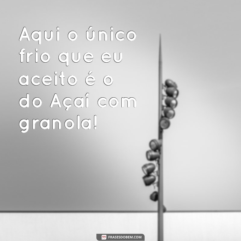 As Melhores Frases Engraçadas do Nordestino: Humor e Sabedoria da Cultura Popular 