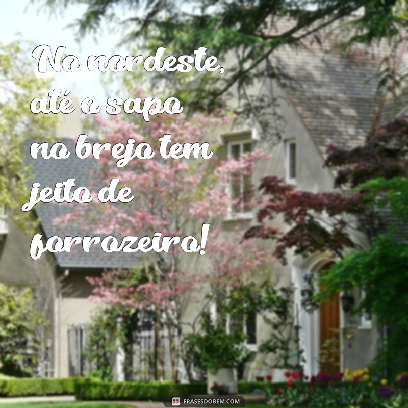 As Melhores Frases Engraçadas do Nordestino: Humor e Sabedoria da Cultura Popular 