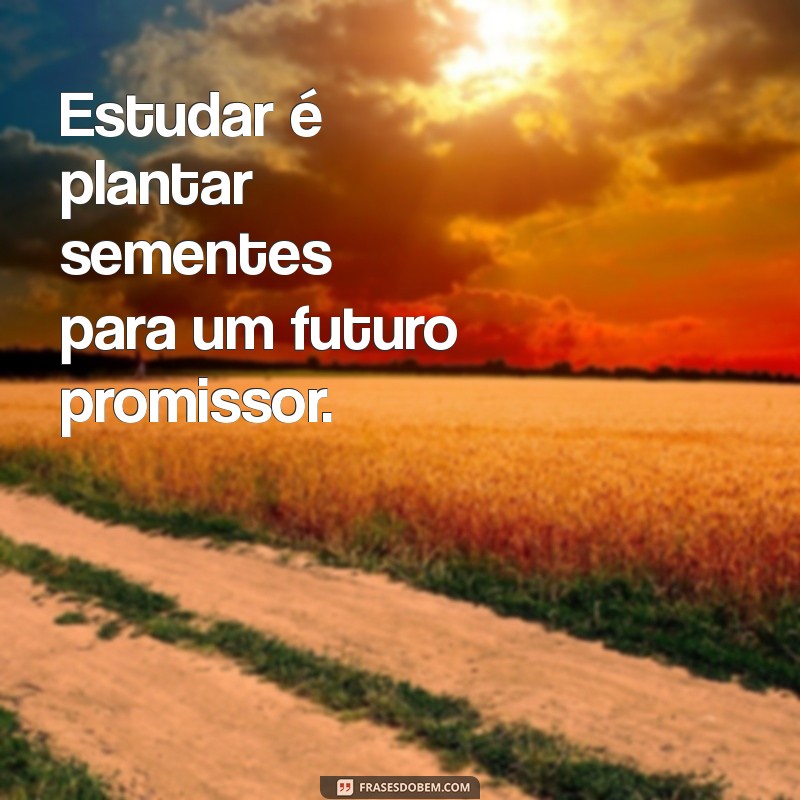 Frases Inspiradoras para Motivar seus Estudos e Aumentar sua Produtividade 