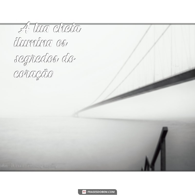 frases para lua cheia 