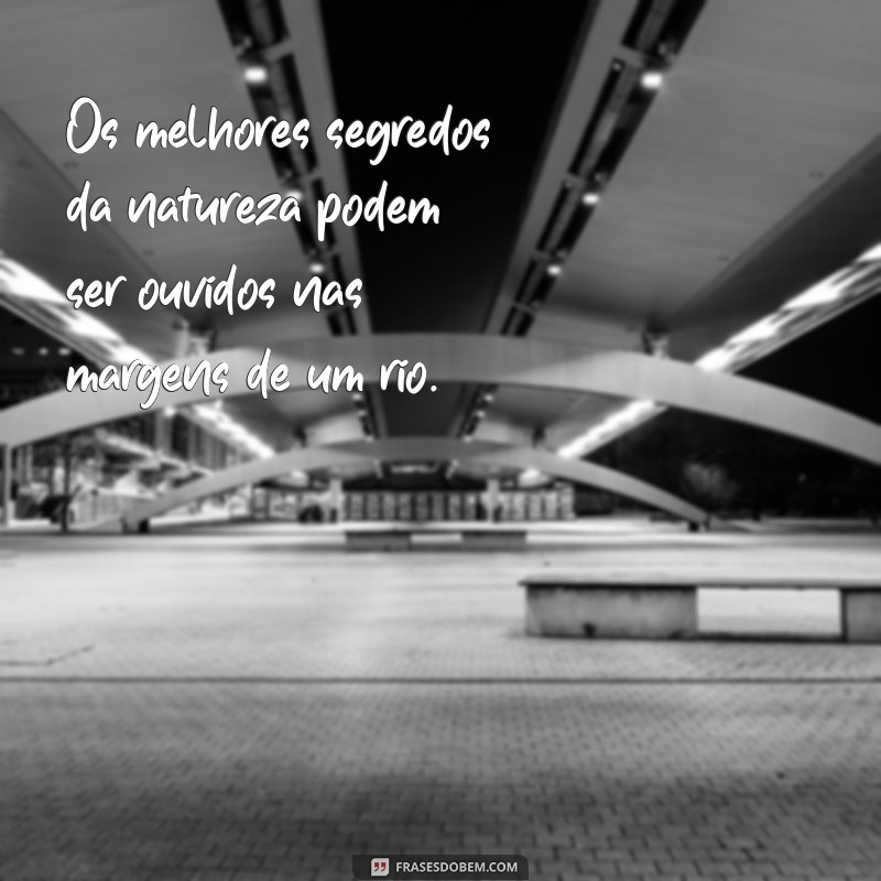 Frases Inspiradoras sobre Rios: Reflexões da Natureza para Sua Vida 