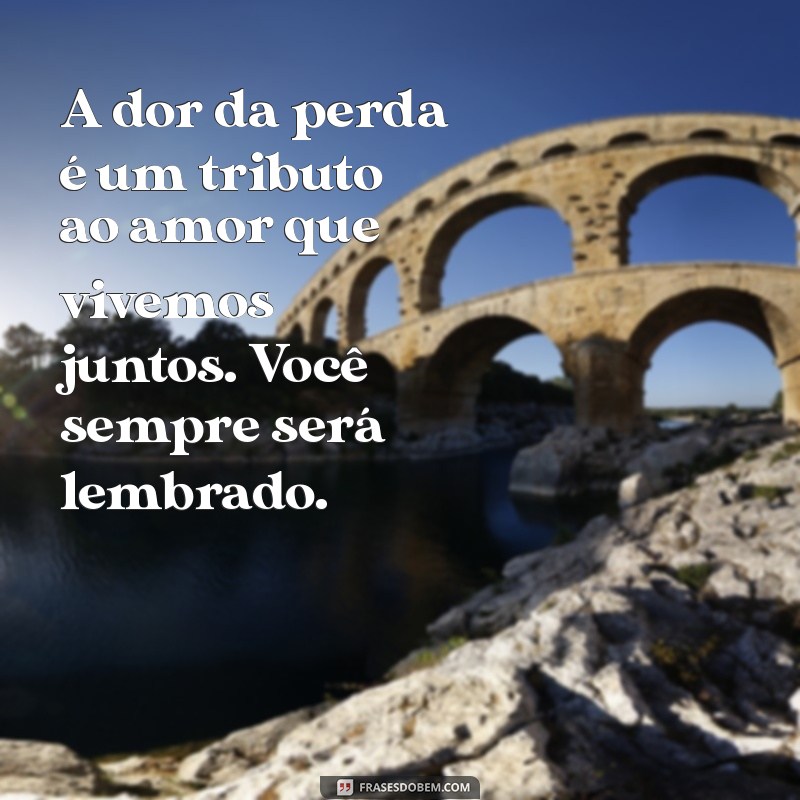 Como Lidar com a Perda de um Cachorro: Mensagens de Conforto e Superação 