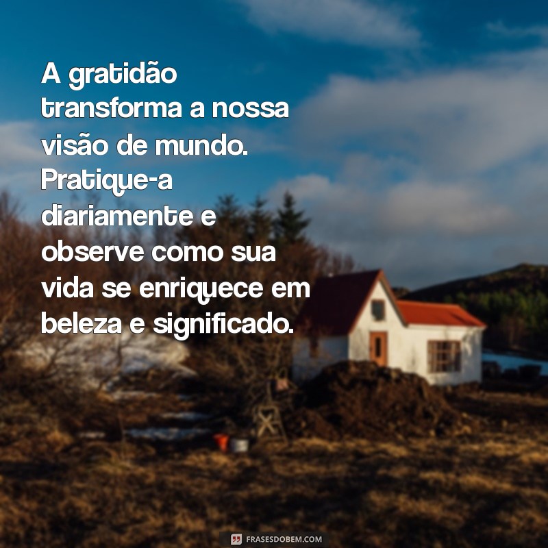 Reflexões Profundas sobre a Vida: Descubra o Sentido e a Sabedoria 