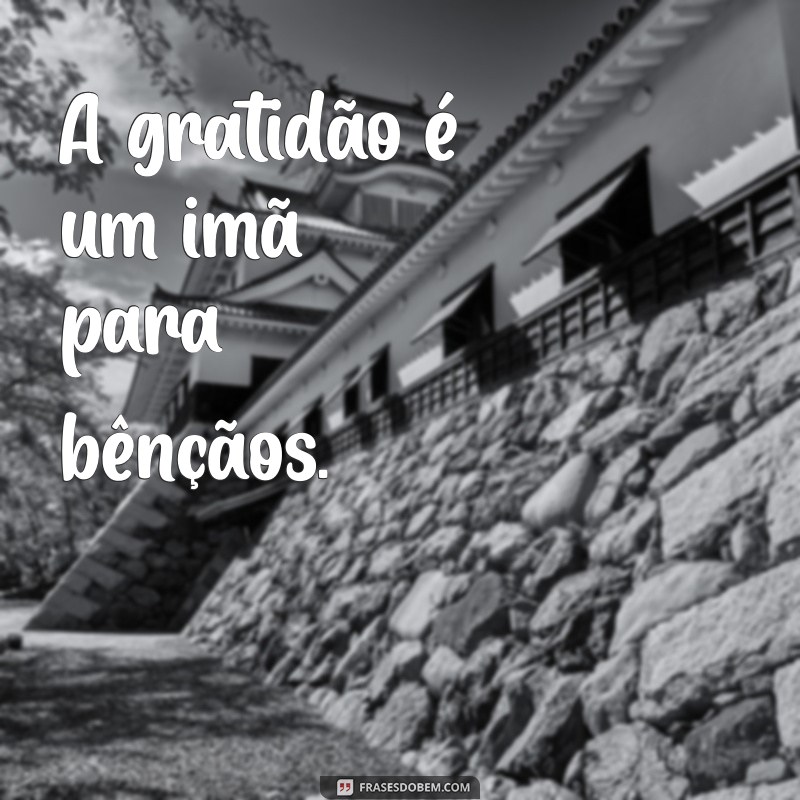 Frases Curtas de Gratidão para Inspirar e Motivar 