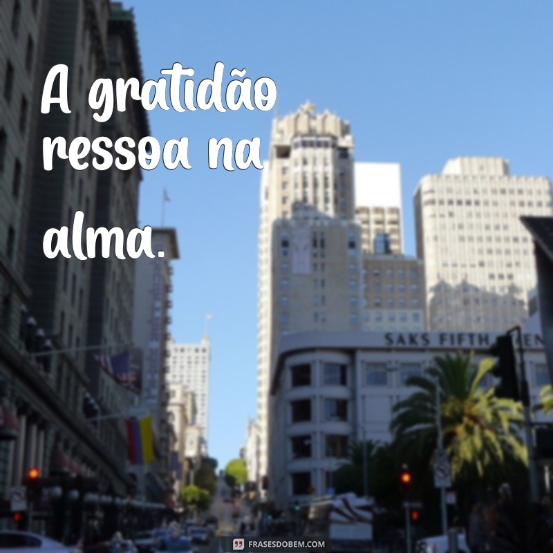 Frases Curtas de Gratidão para Inspirar e Motivar 