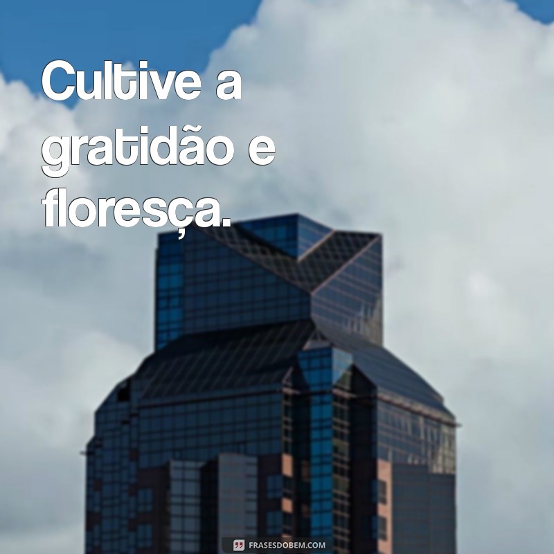 Frases Curtas de Gratidão para Inspirar e Motivar 