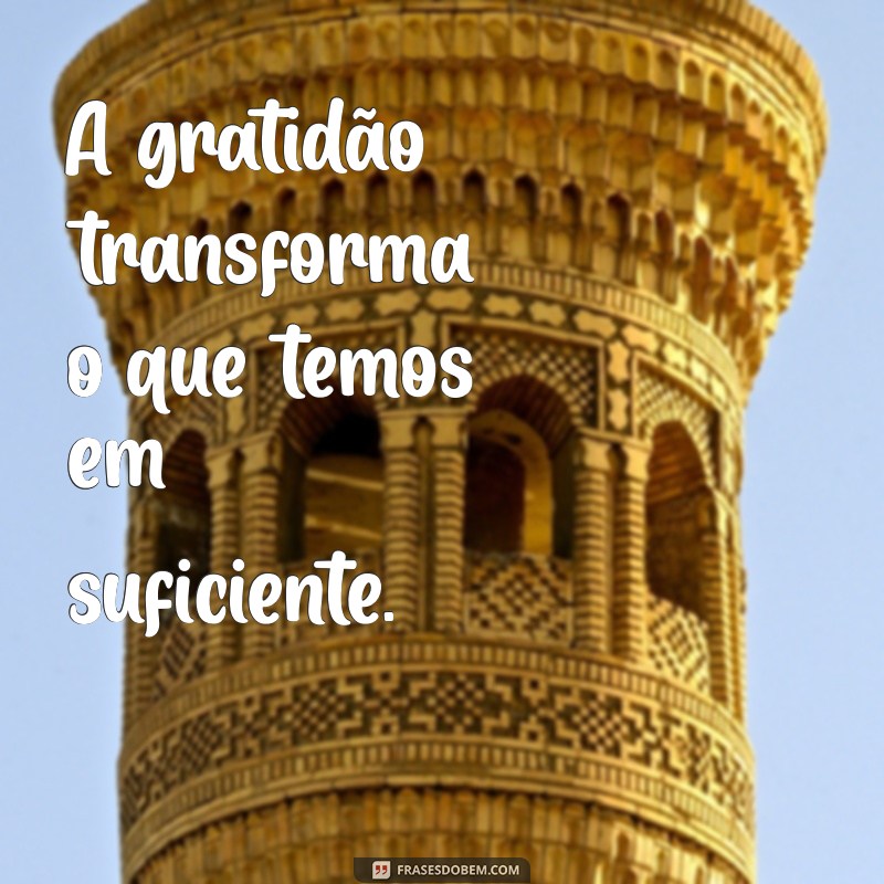 gratidão frases curta A gratidão transforma o que temos em suficiente.