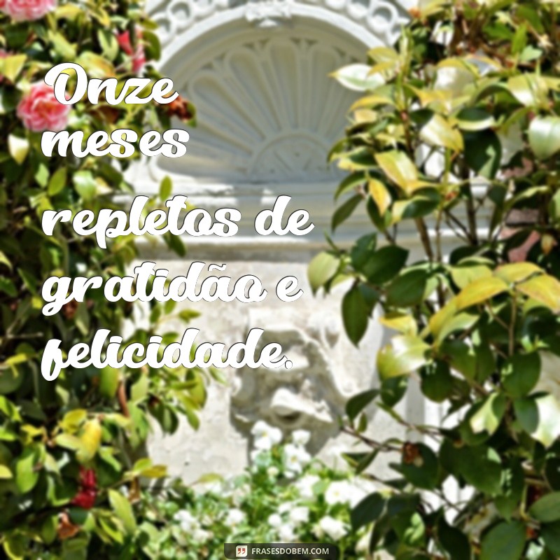 Frases Inspiradoras para Celebrar 11 Meses de Amor e Conquistas 