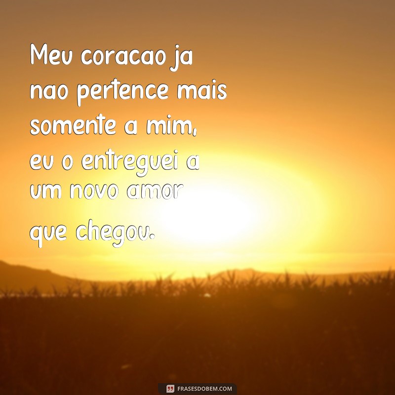 frases de um novo amor chegando Meu coração já não pertence mais somente a mim, eu o entreguei a um novo amor que chegou.