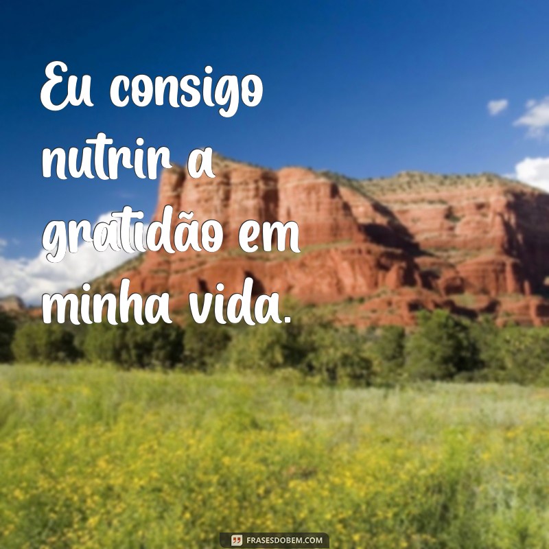 Frases Inspiradoras: Eu Consigo - Motive-se e Supere Desafios 