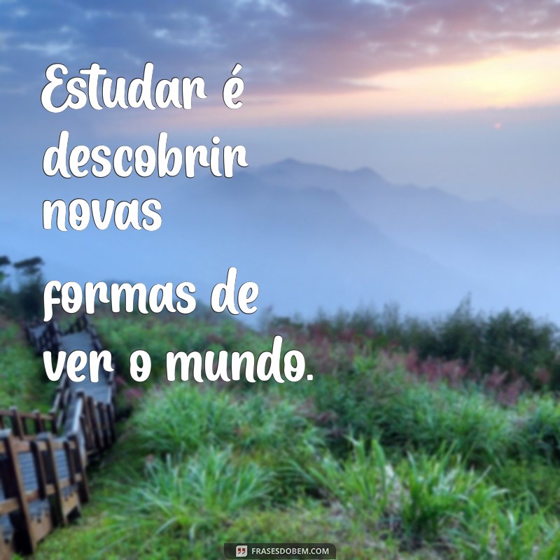 Frases Inspiradoras para Motivar Seus Estudos e Aumentar a Produtividade 