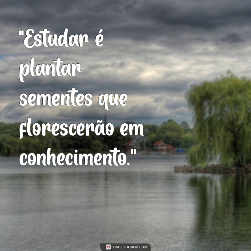 frases estudos 