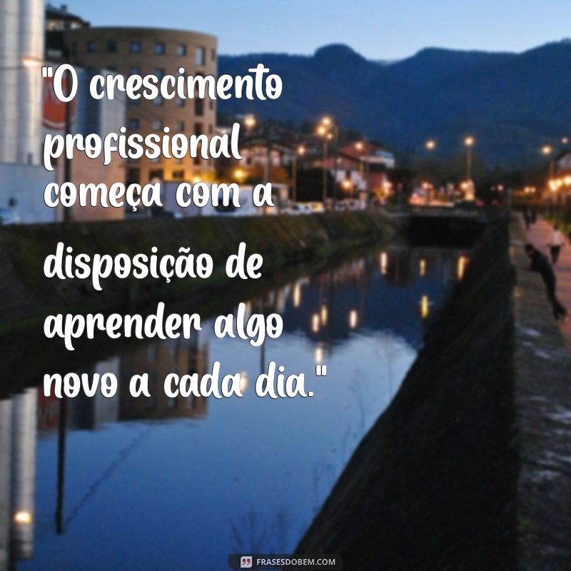 frases sobre crescimento profissional 