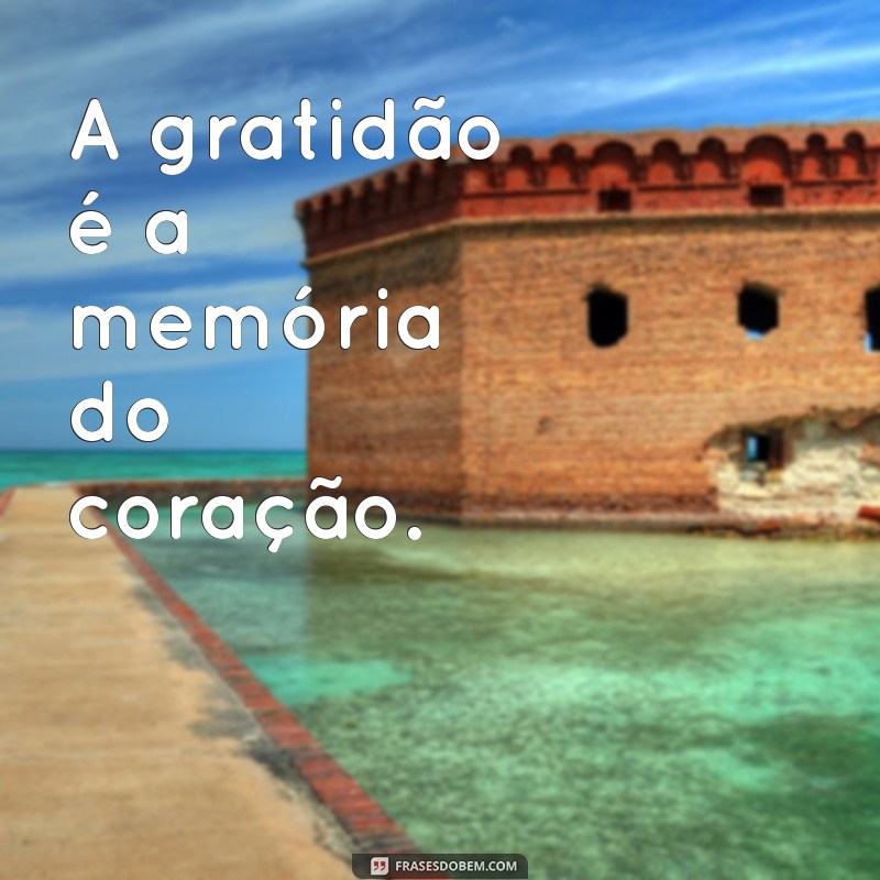 50 Frases Inspiradoras de Gratidão para Sua Bio do Instagram 